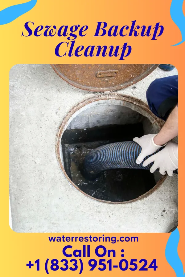 Sewage Backup Cleanup in Remington, IN