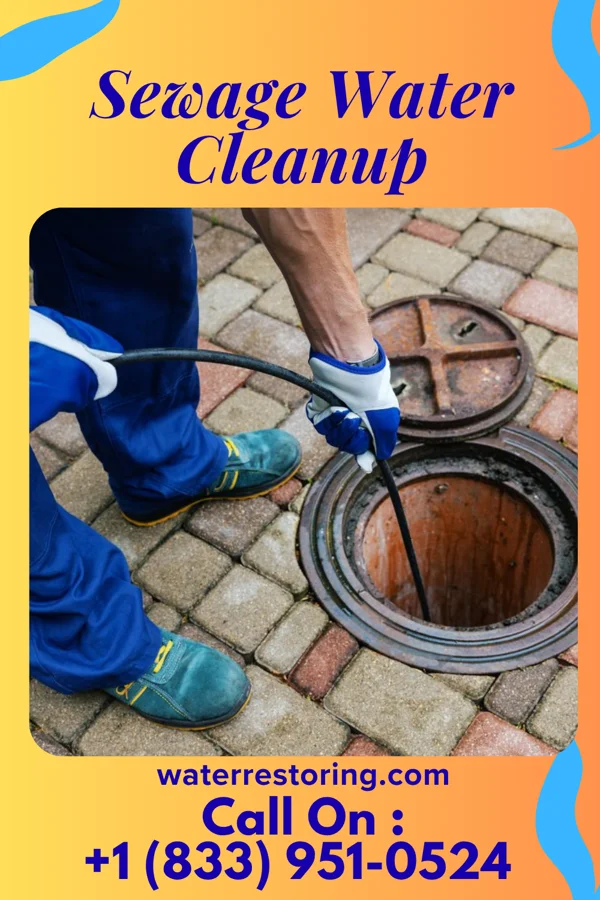 Sewage Water Cleanup in Remington, IN