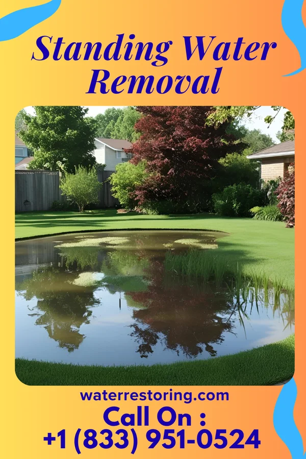 Standing Water Removal in Remington, IN